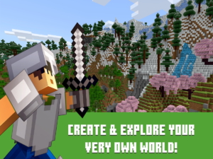 خرید بازی Minecraft Java Edition برای کامپیوتر - Image 3