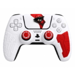 خرید ست روکش دسته PS5 دد اسکال طرح God of War